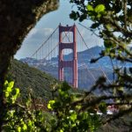 دانلود آهنگ نمیچینم گلی که خار داره دلبر از محسن لرستانی